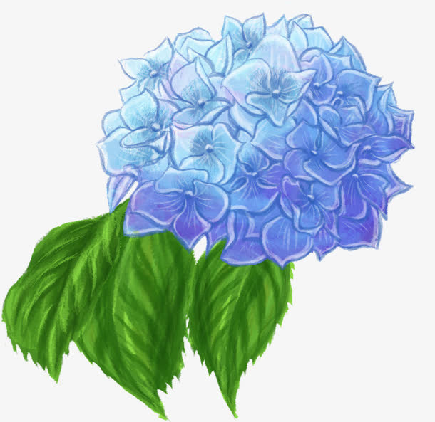 创意手绘水彩质感蓝色的花球免抠