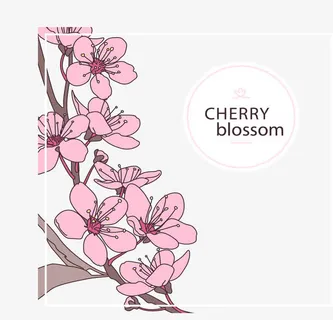 樱花树枝边框免抠