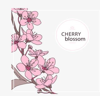 樱花树枝边框免抠