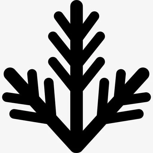 圣诞树枝装饰图标免抠