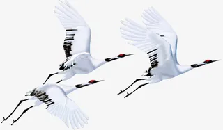 3只在天下飞翔的仙鹤免抠