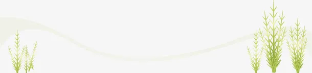 网站树背景banner