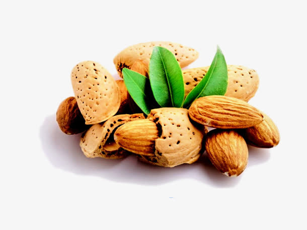 免抠素材扁桃仁图片免抠