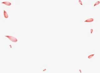 粉色唯美花瓣免抠