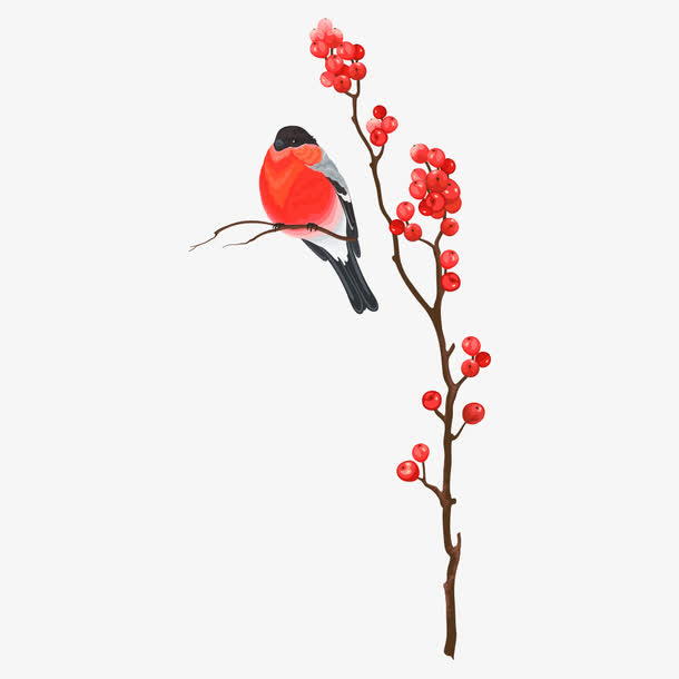 树枝上的小鸟免抠