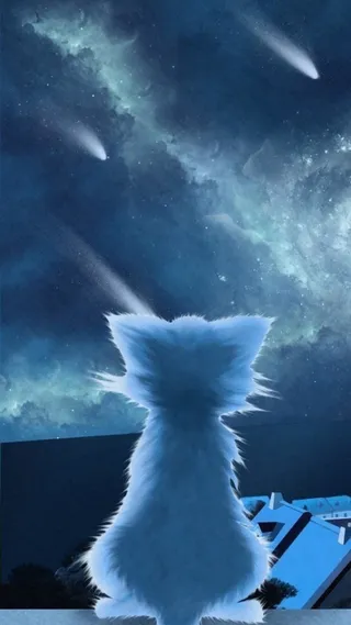 深色文艺猫咪背景图高清