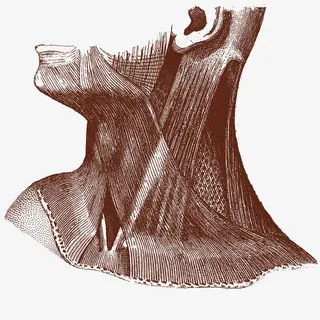 矢量服饰披风免抠