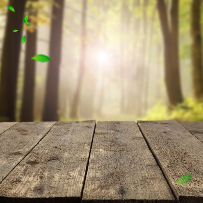 欧式 典雅 尊贵 实木 纹理 木地板 木高清