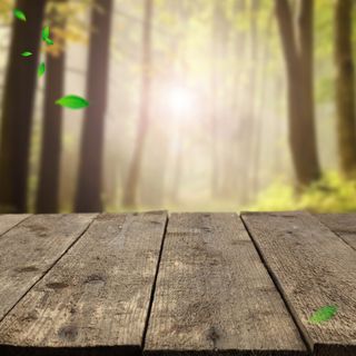 欧式 典雅 尊贵 实木 纹理 木地板 木高清