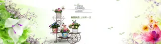 花架淘宝背景图高清