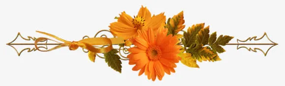 精美花卉免抠