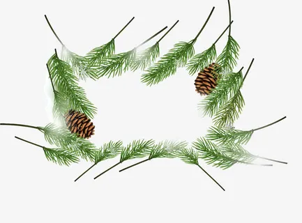 树叶边框矢量图免抠