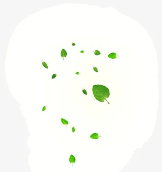 漂浮的绿叶素材免抠