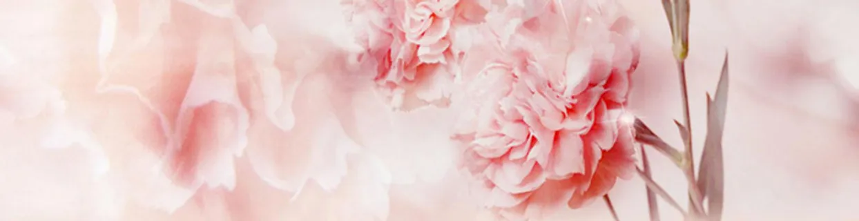 淘宝 天猫 banner 背景高清