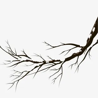 简约风水墨枯树枝免抠