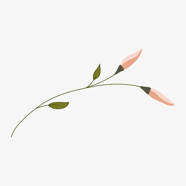 手绘小清新花卉免抠