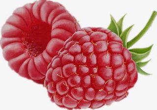 野生覆盆子免抠