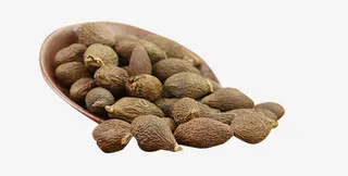 散落的胖大海颗粒免抠