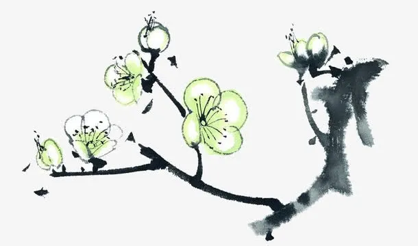 手绘梅花免抠