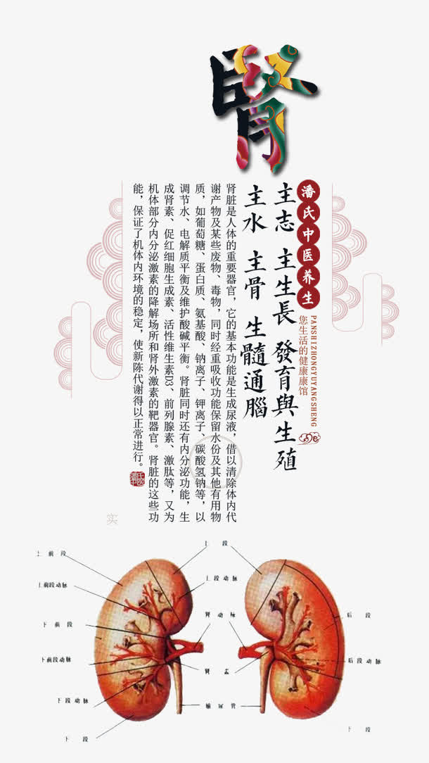 中医养生海报免抠