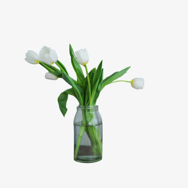 白花绿叶花瓶免抠