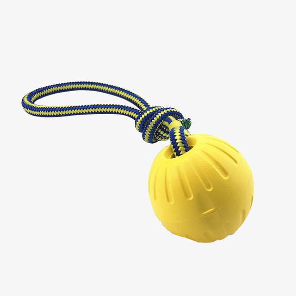 球，宠物玩具，咀嚼小狗玩具免抠