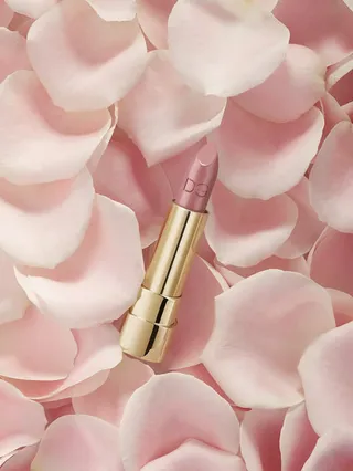 高清粉色花瓣品红免抠