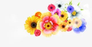 鲜艳花朵招聘海报免抠