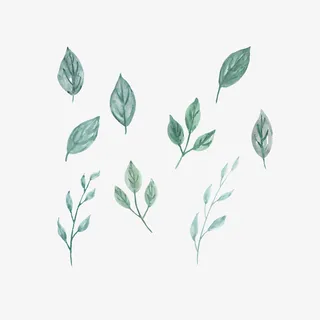 情人节绿色叶子装饰免抠