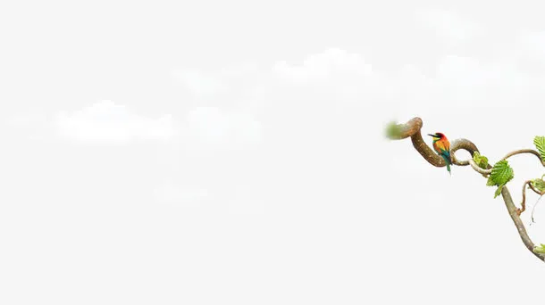 白云树叶树藤免抠