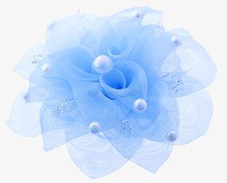 花卉图片素材手绘装饰图片免抠