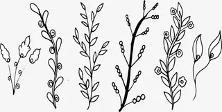 小清新手绘树枝免抠