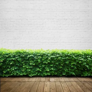 小清新砖墙背景与绿叶素材图免抠
