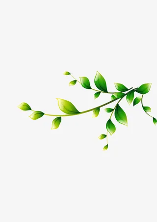 边角树枝树叶装饰免抠