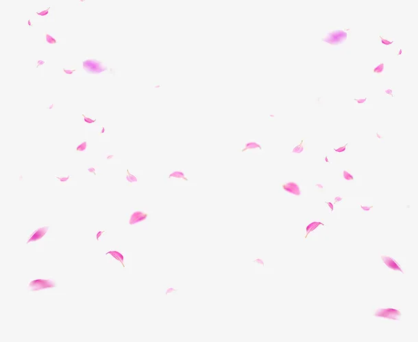 精美的粉红色花瓣免抠图免抠