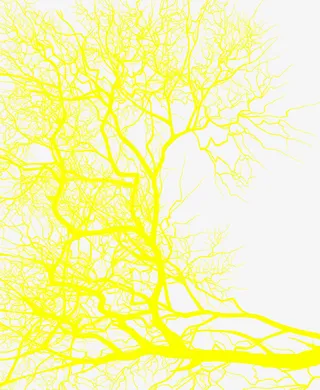 黄色密集树枝甜品免抠