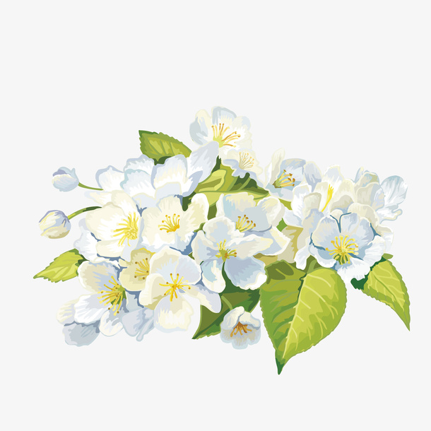 手绘清新花卉免抠