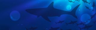鲨鱼背景高清