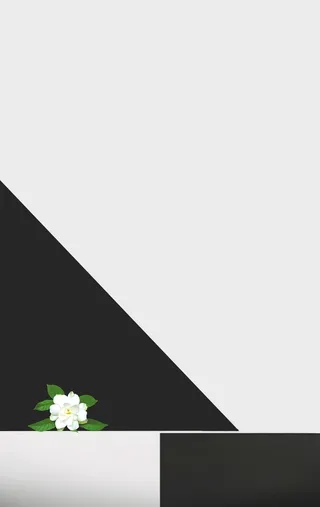 简约分开的色块背景高清