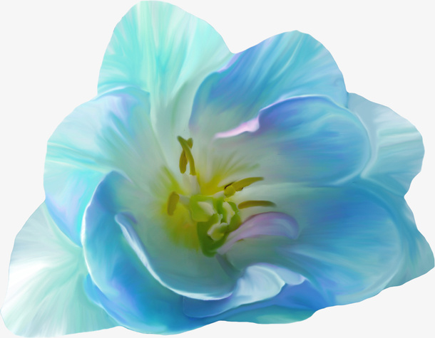 花卉免抠