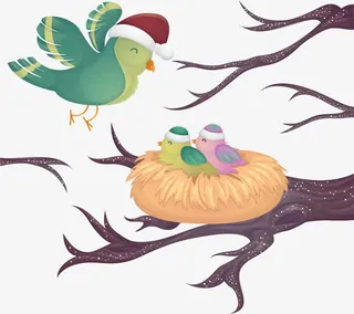 冬季小鸟喂养子女免抠