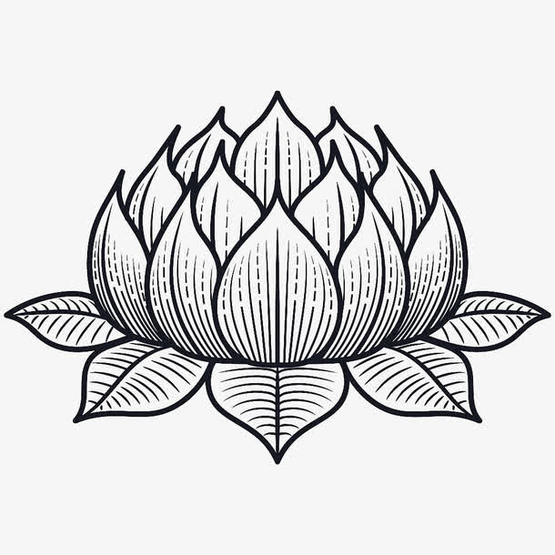 黑色手绘莲花免抠