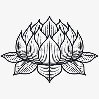 黑色手绘莲花免抠