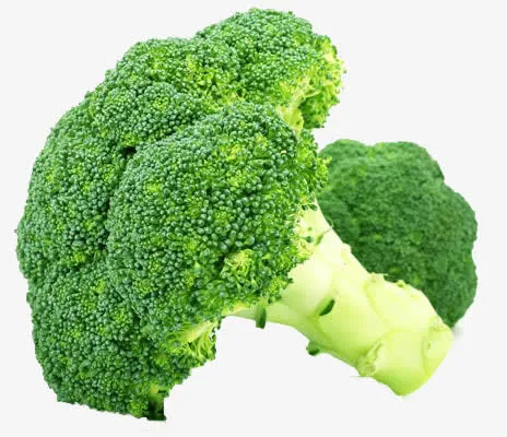 西蓝花蔬菜图片免抠