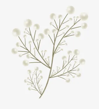 圣诞节圣诞树雪花唯美免抠