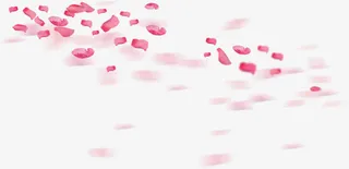 浪漫粉色花瓣素材图片免抠