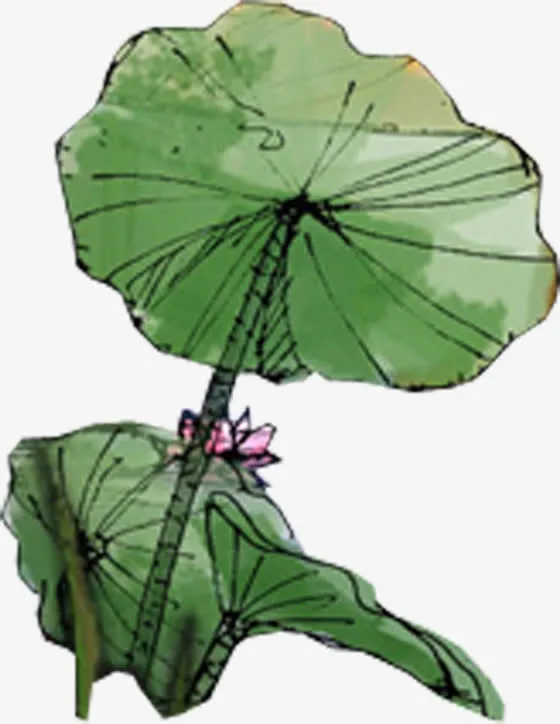 圆形手绘艺术荷叶美景免抠