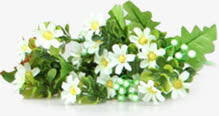 花束免抠