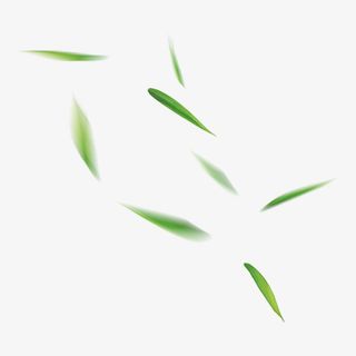 风吹散的落叶漂浮素材免抠其他元素