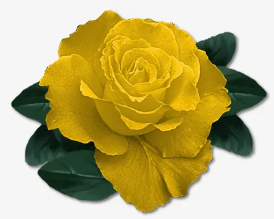 手绘绿植花卉免抠